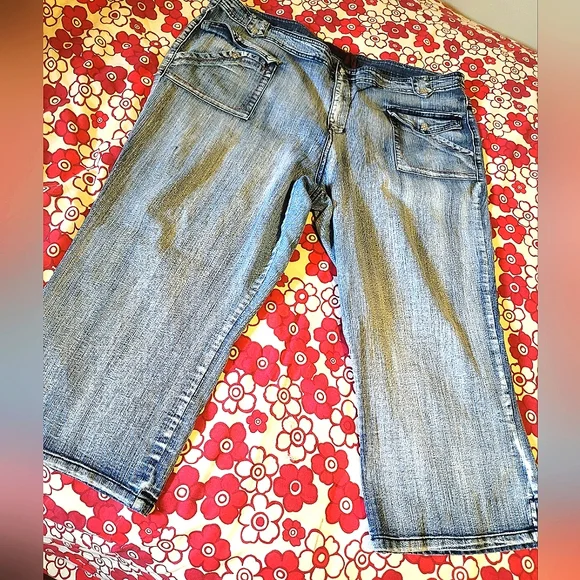 {Crest} Capri Jeans Stretch Distressed, Size 23/24 - Picture 2 of 14